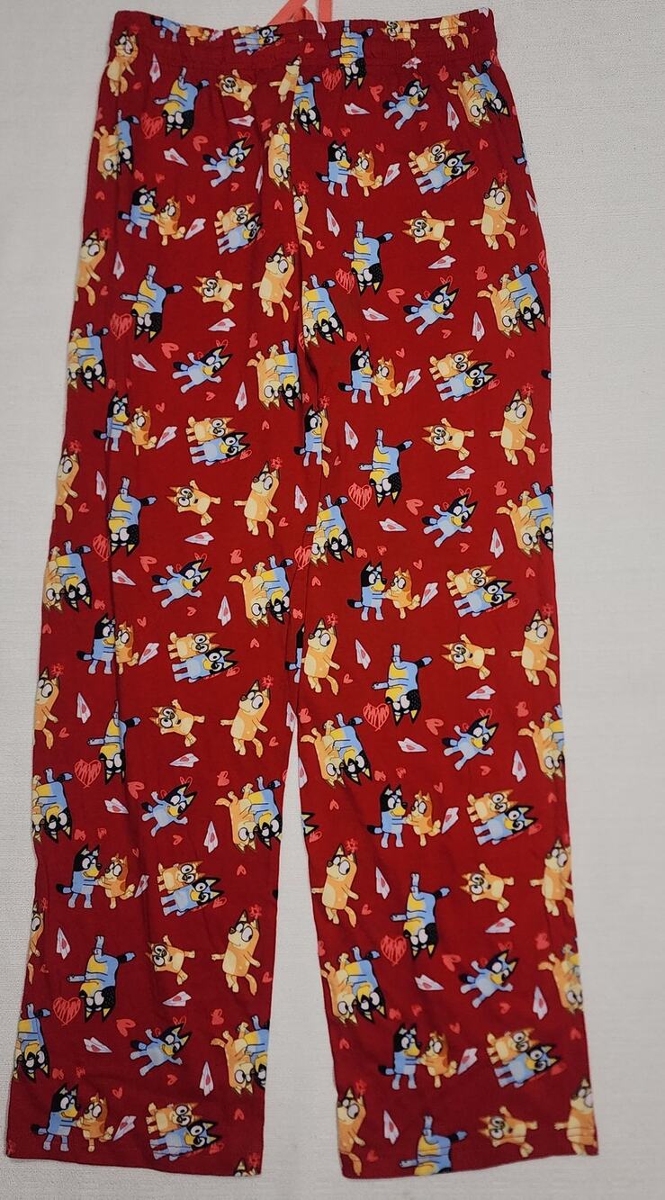 Disney Bluey and pretzel pajamas men's Small